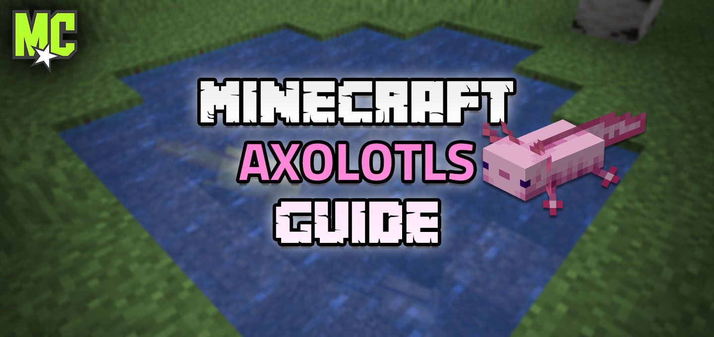Minecraft Axolotl guide to teach you everything about Axolotls