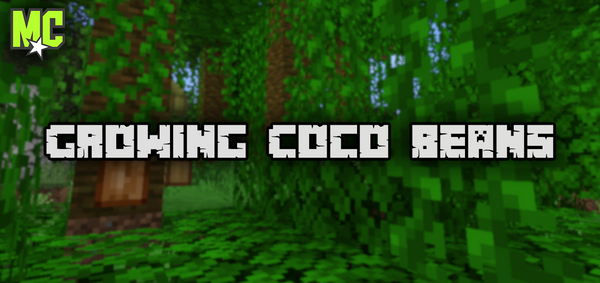 How to Grow Coco Beans in Minecraft