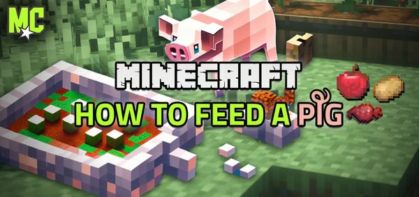 Minecraft pig and how to raise them, including their favorite food and utilities. 