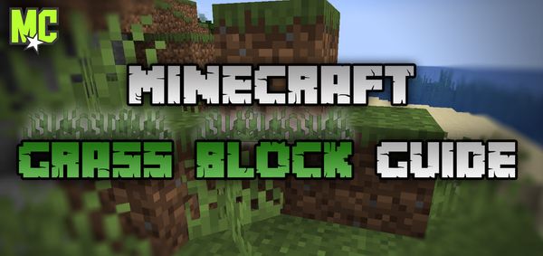 Guide to Minecraft grass blocks, their information, IDs, and more.