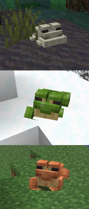 Minecraft 1.19 frogs